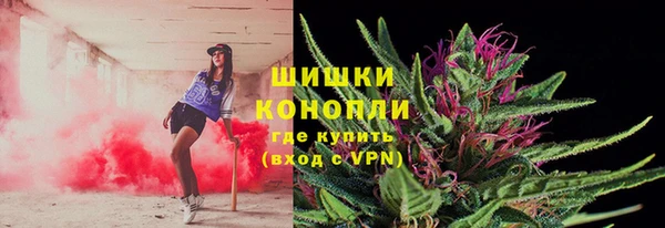 ГАЛЛЮЦИНОГЕННЫЕ ГРИБЫ Алексеевка