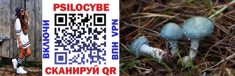 купить  цена  Камышлов  Галлюциногенные грибы Psilocybine cubensis 