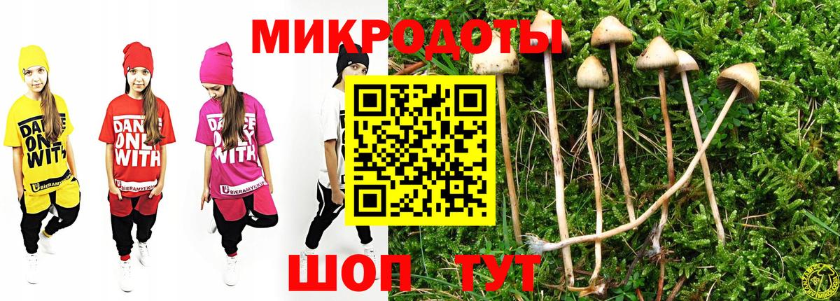 Галлюциногенные грибы MAGIC MUSHROOMS  Псилоцибиновые грибы мухоморы  Камышлов  Вход с VPN 